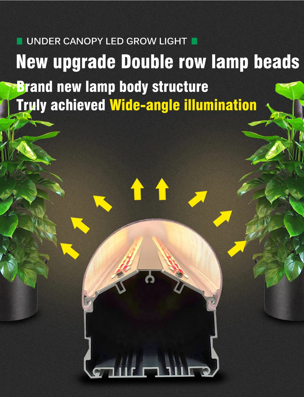 LED Full Spectrum Plant Growth Lamp for Greenhouse Aluminum Body with SMD 2835 Chip Bottom Fill Light for Inter-Plant & Planting details