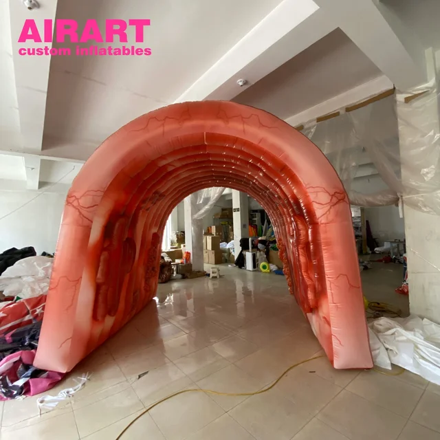 Giant Inflatable Colons Colorectal Cancer inflatable teaching tool