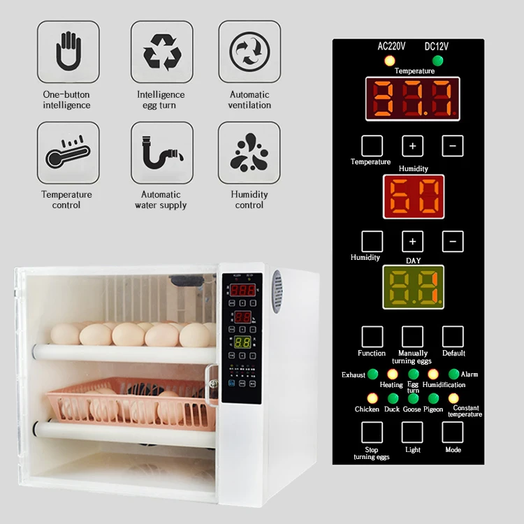 60egg incubator-31.jpg