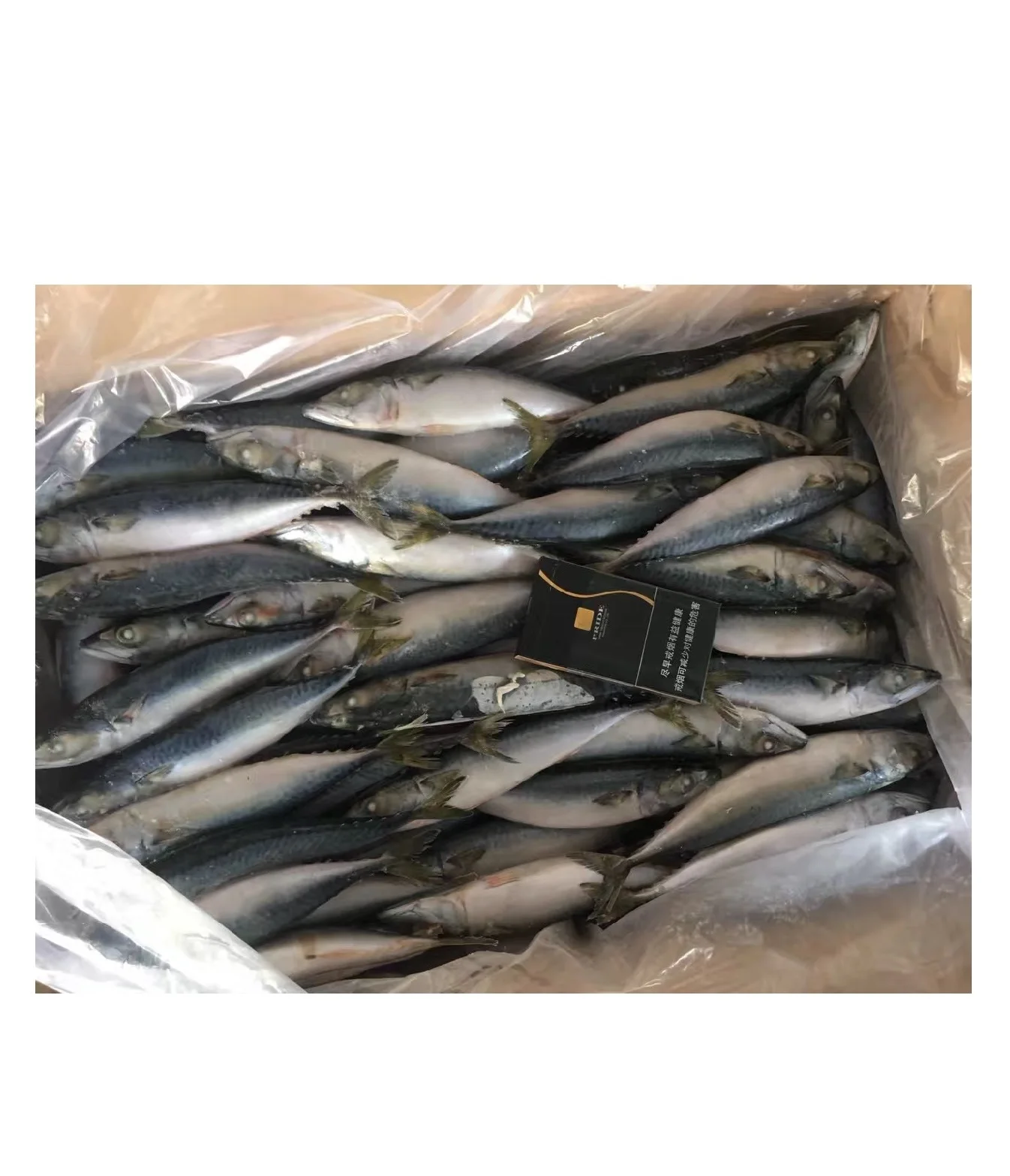 
Whole Round Mackerel Fish for Market Prices Frozen Style IQF with good price 