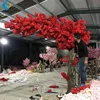 One Side Long Canopy Japanese Cherry Blossom Tree With Shipping Convenience Plant