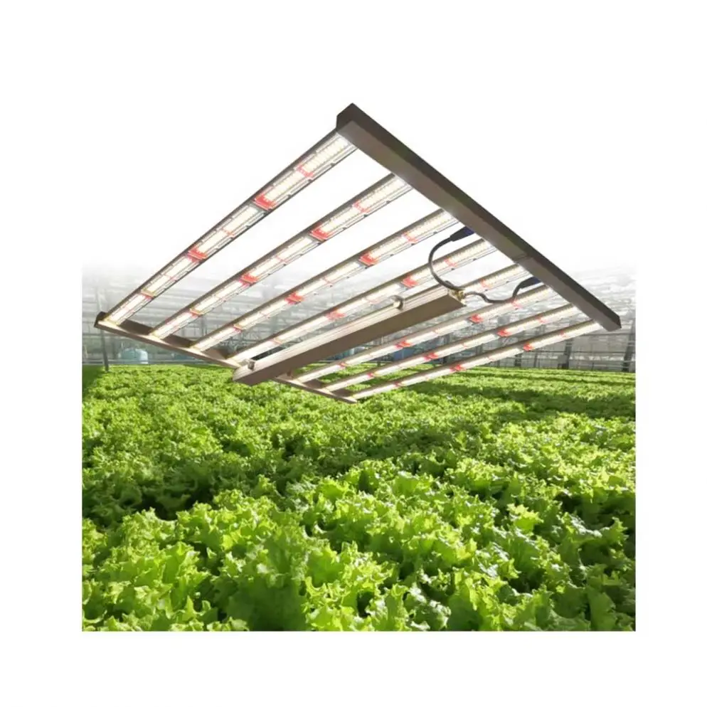 Grow Light Full Spectrum 1000W T8 880W Indoor Plant Hps Approved  Gavita Lights Led