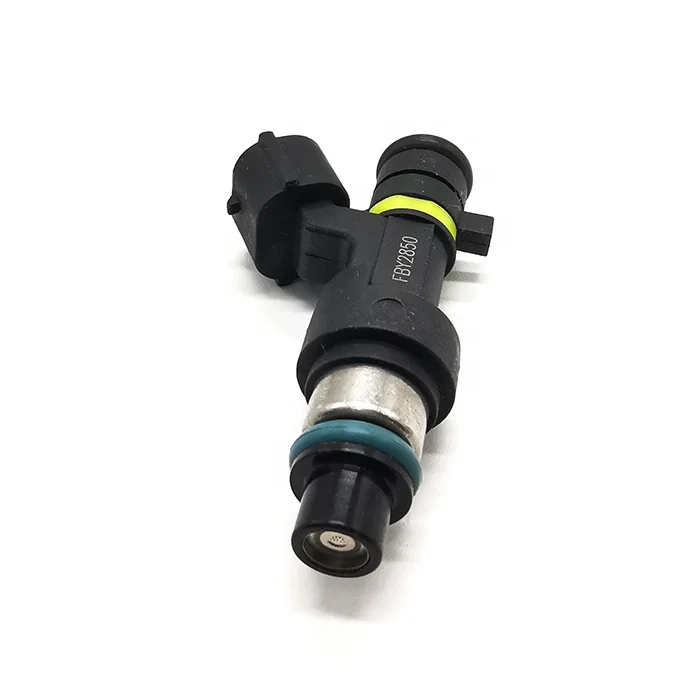 Fuel Injector FBY2850 (3)
