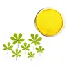Light Yellow 98% Aesculus Chinensis Extract For Antibacterial Esculetin