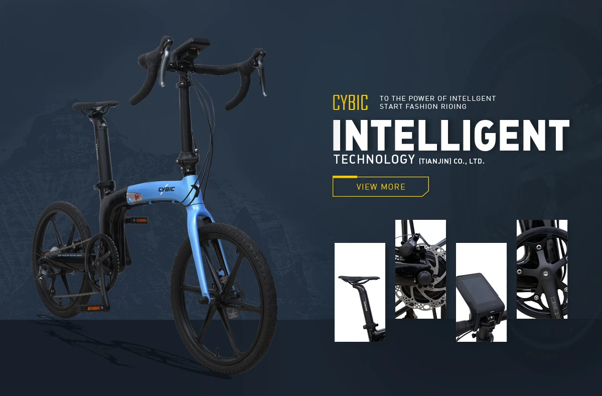 cybic bikes