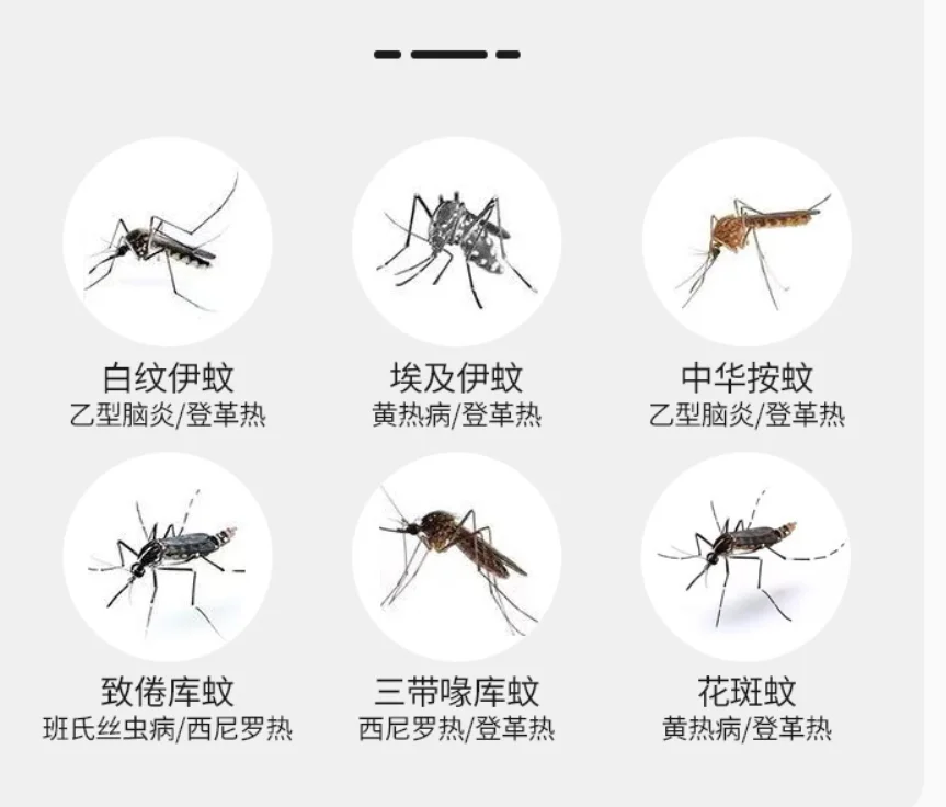 3 (11).png