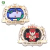 Europe Regional Feature and Metal Material 3D challenge coin