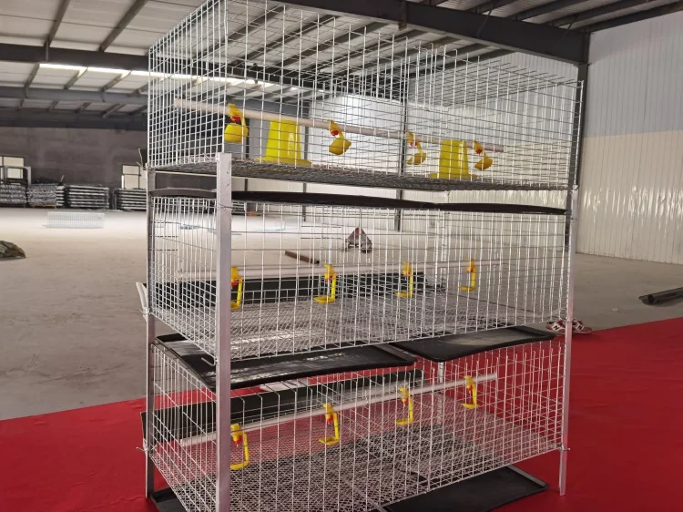 Quail Breeding Cage H Type Battery Layer Quail Cage For Sale Buy H