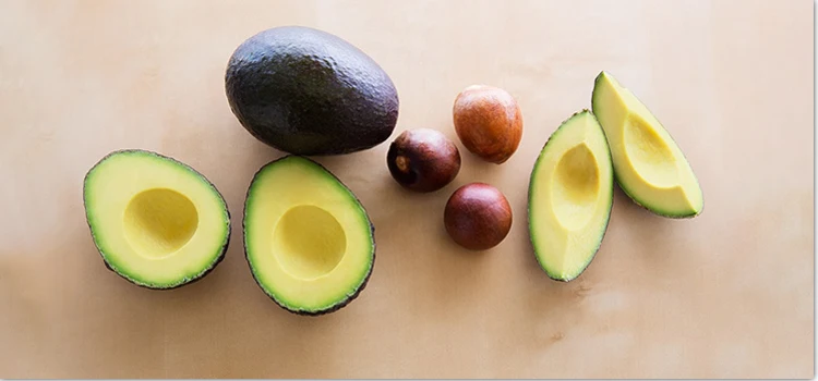 avocado-seed-3 3