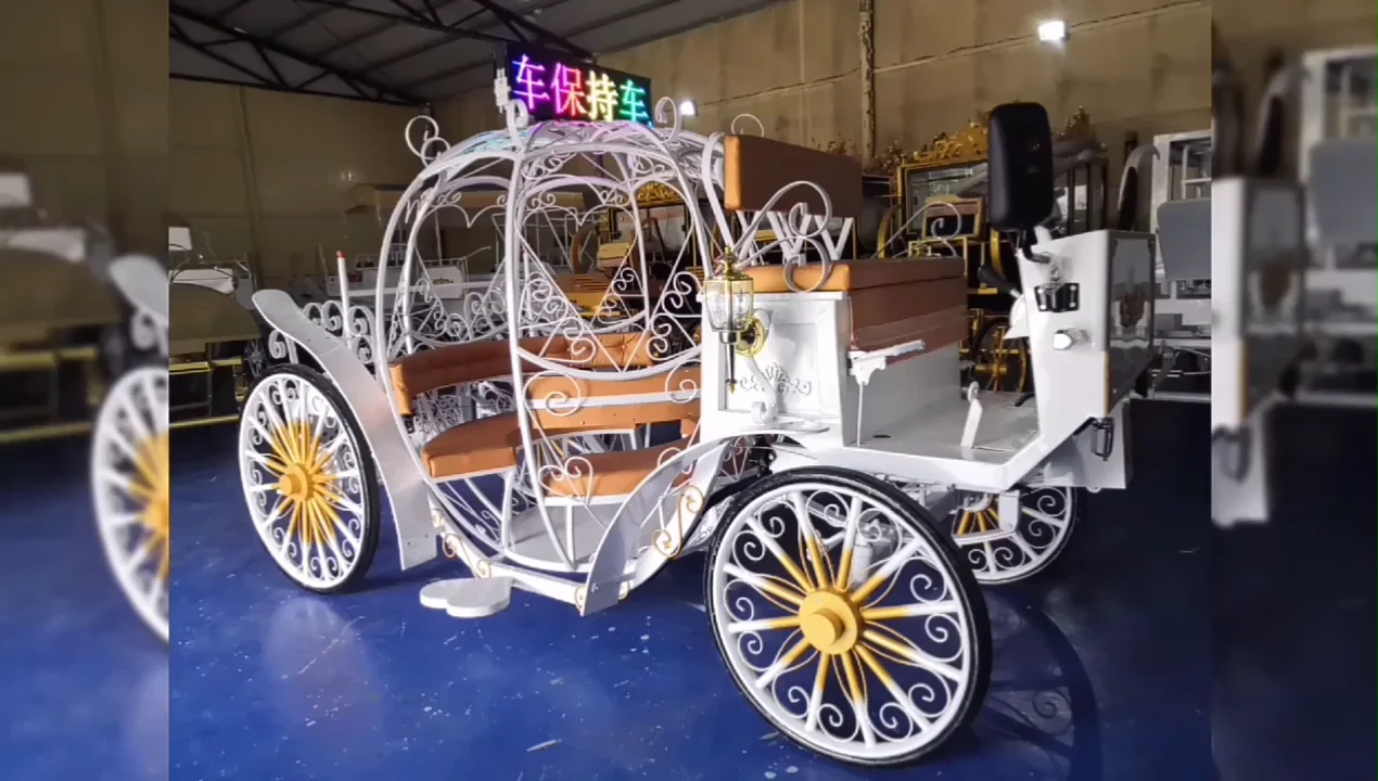 electric princess carriage