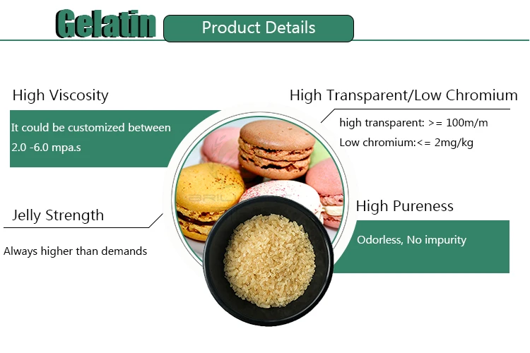 gelatin 
