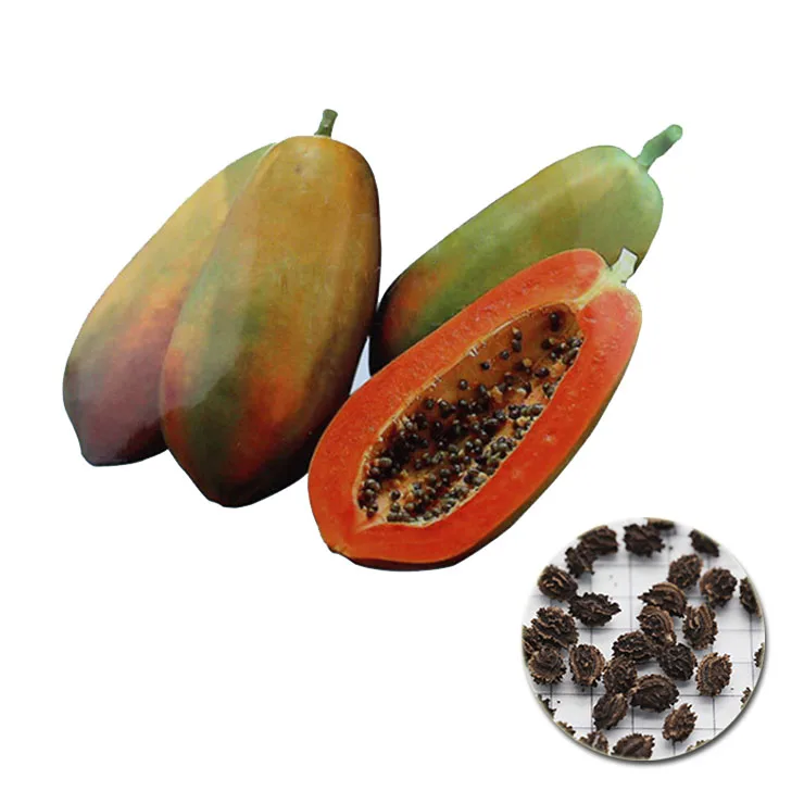 Семена Папайи Купить В Аптеке