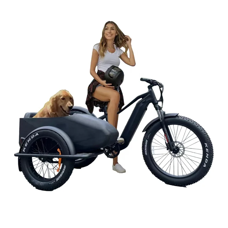 electric sidecar bicycle For Bike Discover the ultimate 3 wheel electric bicycle for adults Electric Bike Bike Na May