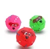 Pet Products Dog TPR Squeak Toy Sound Chewing Toys for Pet Playing Bored Funny Chew Toy Interactive