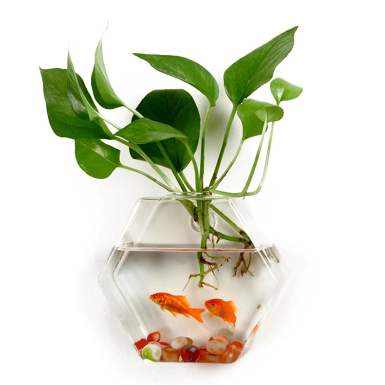 Wall Hanging Water Plant Glass Terrarium Buy Wholesale Wallhung Creative Hydroponic Plant