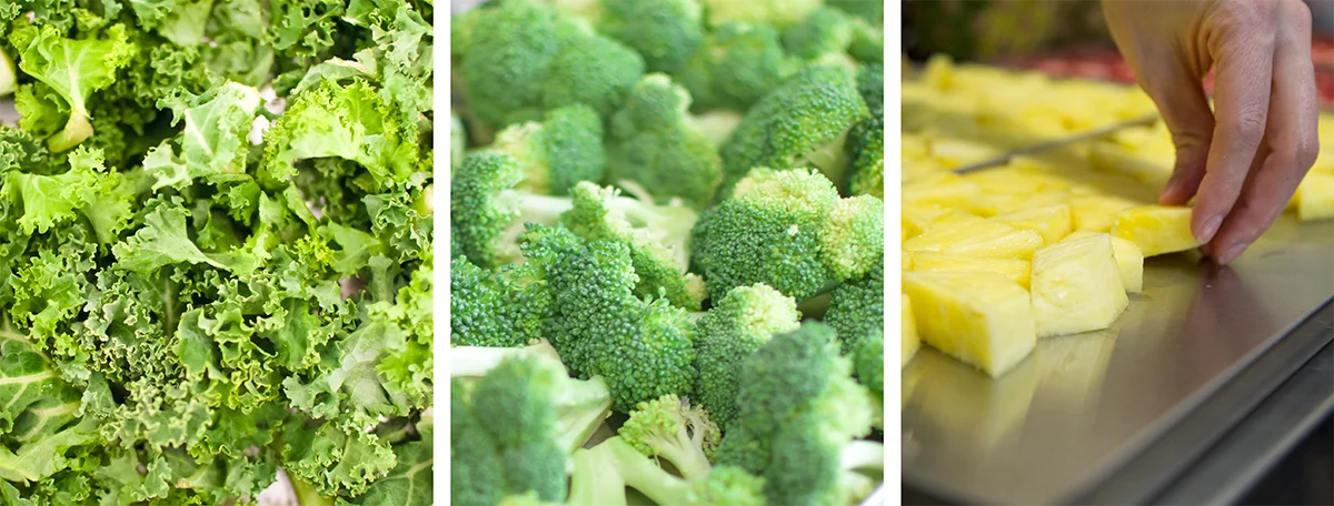 NADE In-Situ Minitype Lyophilizer/freeze drying equipment/freeze dryer 0.1m^2 TF-HFD-1