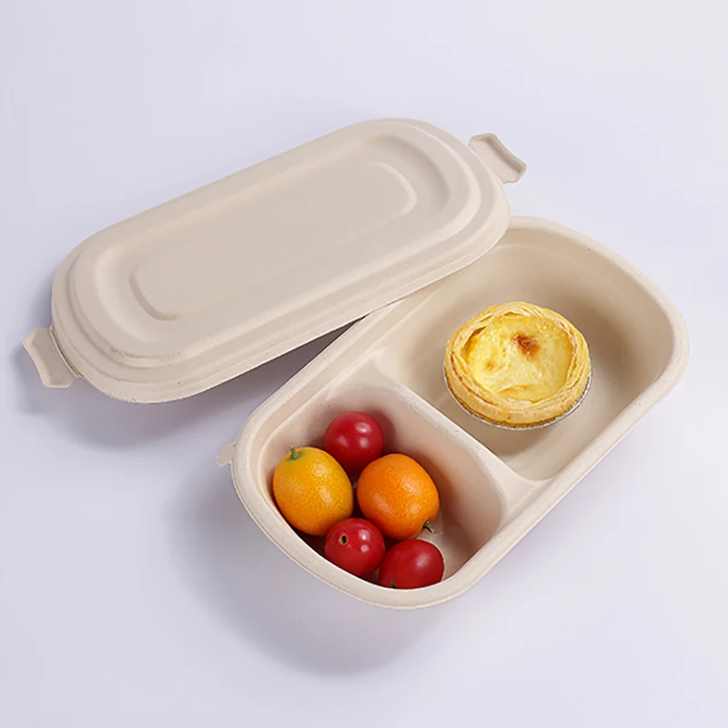 Biodegradable Sugarcane bagasse food container 2 compartment
