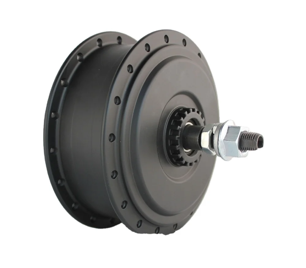 electric bike brushless motor