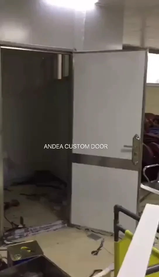 Mri Room Shielding Door For Hospital,Shielding Door For Mri,Rf Door