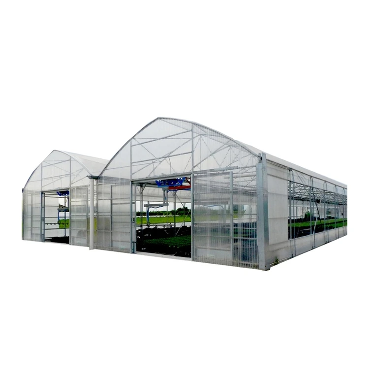greenhouses polycarbonate professional