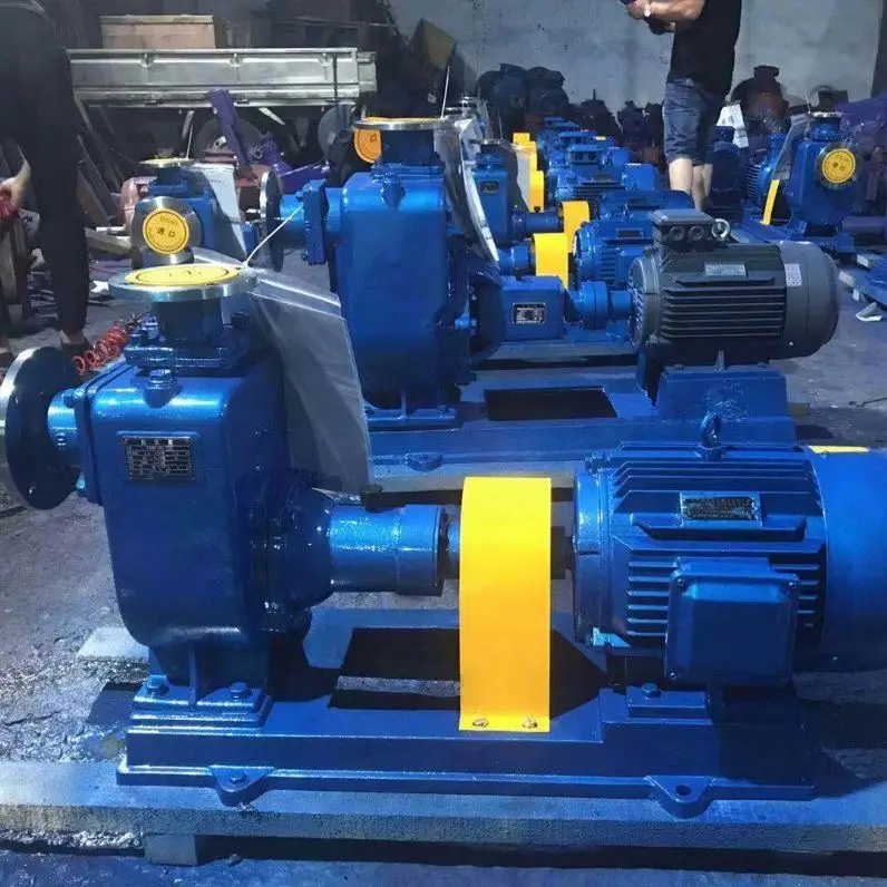 Factory Supplying Food Grade Mini Self Priming Booster Pump