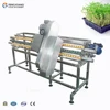 New Product Hydroponic Vegetable Indoor Bean Sprout Heading Cutting Machine