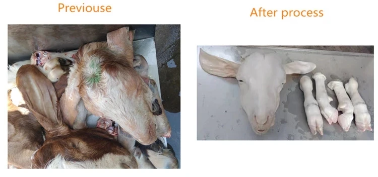 Slaughter equipment sheep feet Dehair machine sheep feet hair removal