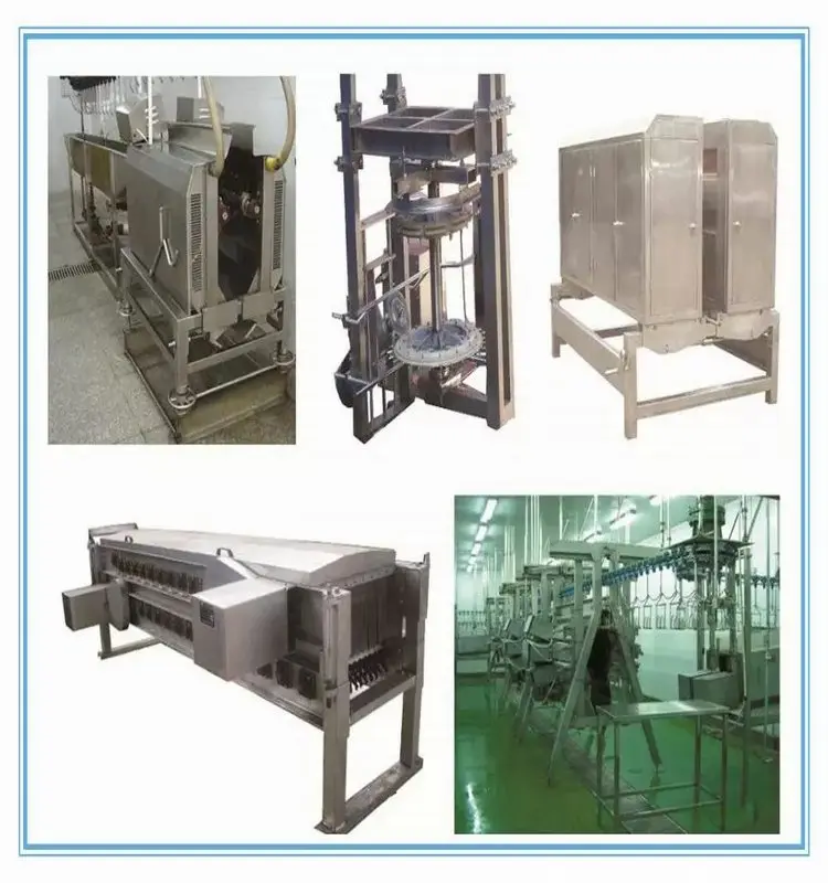 Chicken processing plant equipment Chicken slaughterhouse equipment