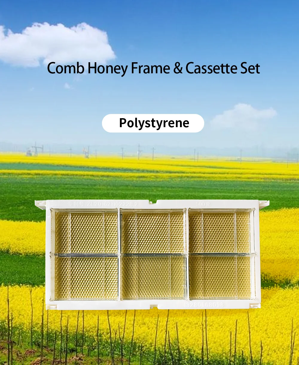 500g Plastic Comb Honey Frames And Cassettes Set Making Box