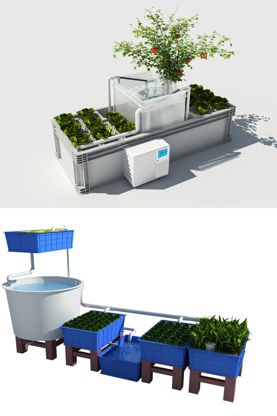 home aquaponics system.jpg