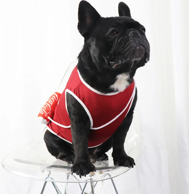 Fashionメッシュベストデザイナーコーラ犬服夏 Buy 犬服夏 ファッション犬服 デザイナー犬服 Product On Alibaba Com