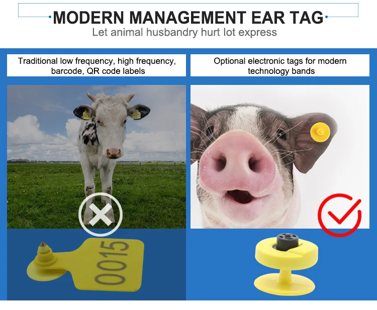 Gps Ear Tag Cattle Rfid Cow Ear Tag Txet200 Buy Ear Tag Farm