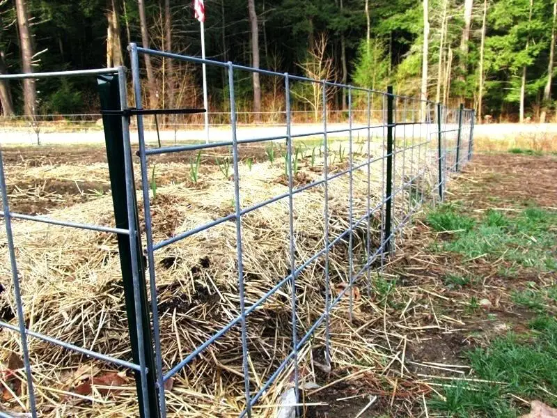 Horse Donkey Sheep Agriculture Goat Farming Cattle Fence Panel Buy