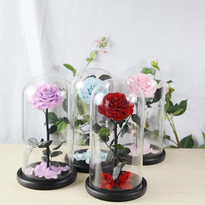 Long Stem Preserved Single Roses Real Life Long Lasting Garden Rose 