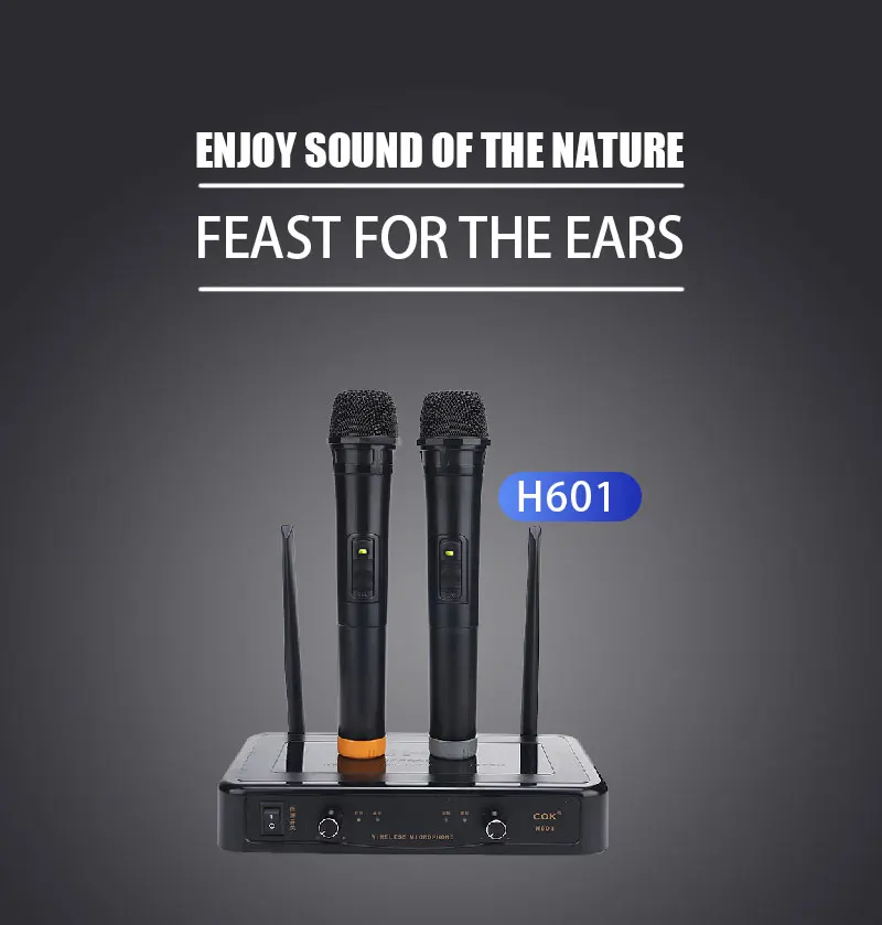 Cok H601 Hot Sell Wireless Microphone 10