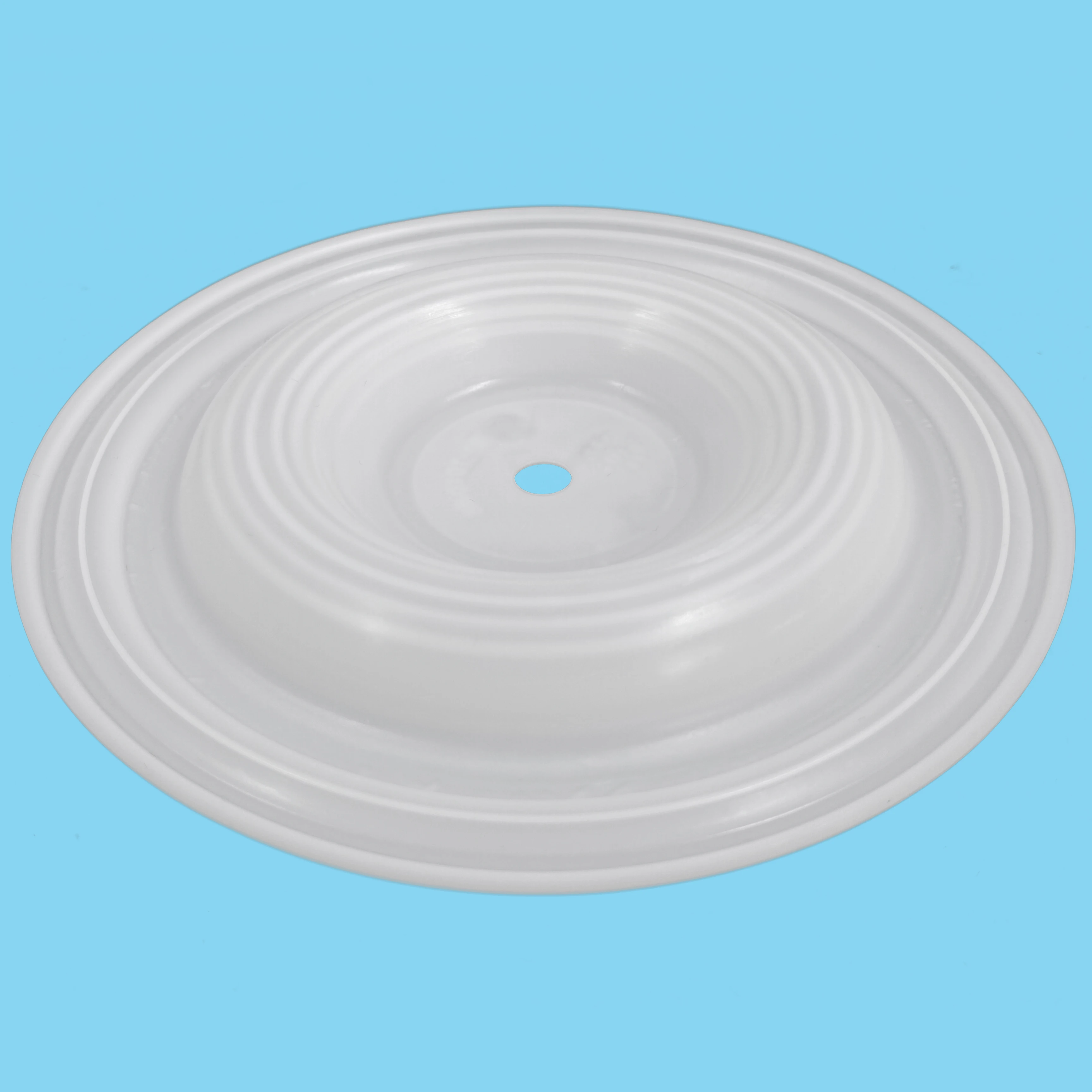 CF01-1010-55 Diaphragm details