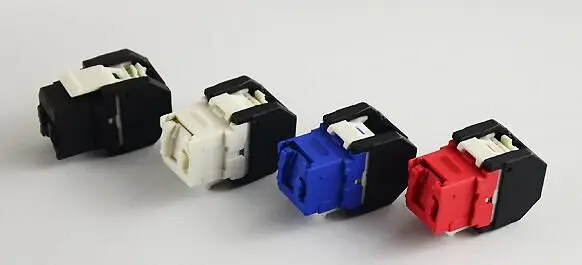 cat6 6.jpg