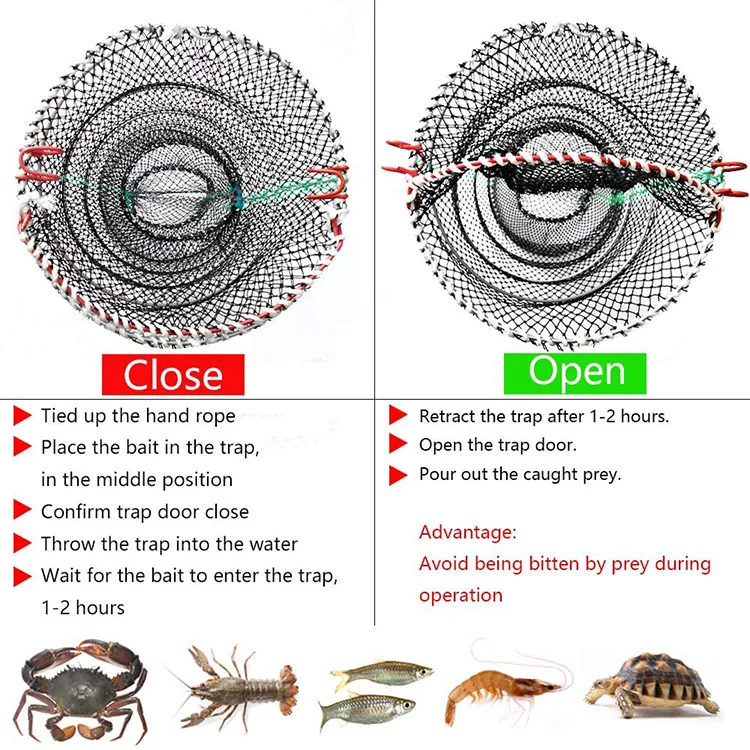 crab cage (3).jpg