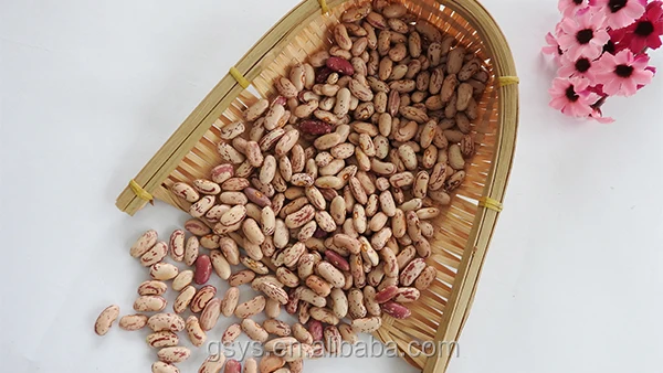 red kidney bean-red kidney bean manufacturers, suppliers and
