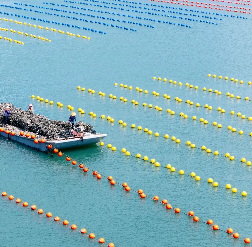 Hdpe Raft HDPE Raft Type Suspended Floating Ball| Alibaba.com