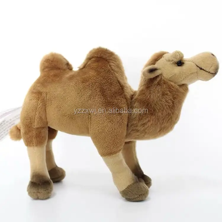 camel (2).jpg