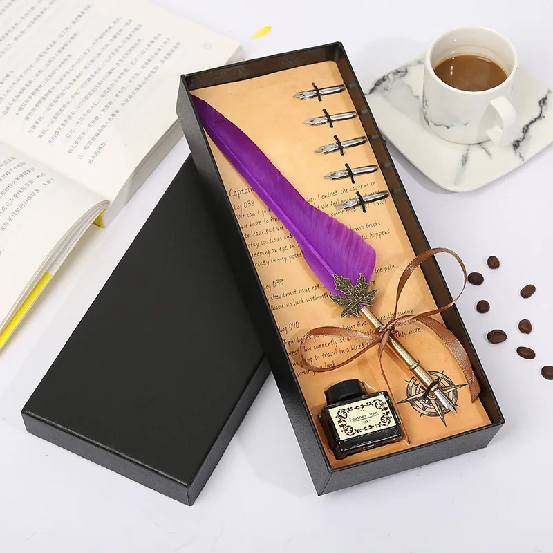 Gift Box Package Feather Decoration Fountain Pen With Ink Student ...