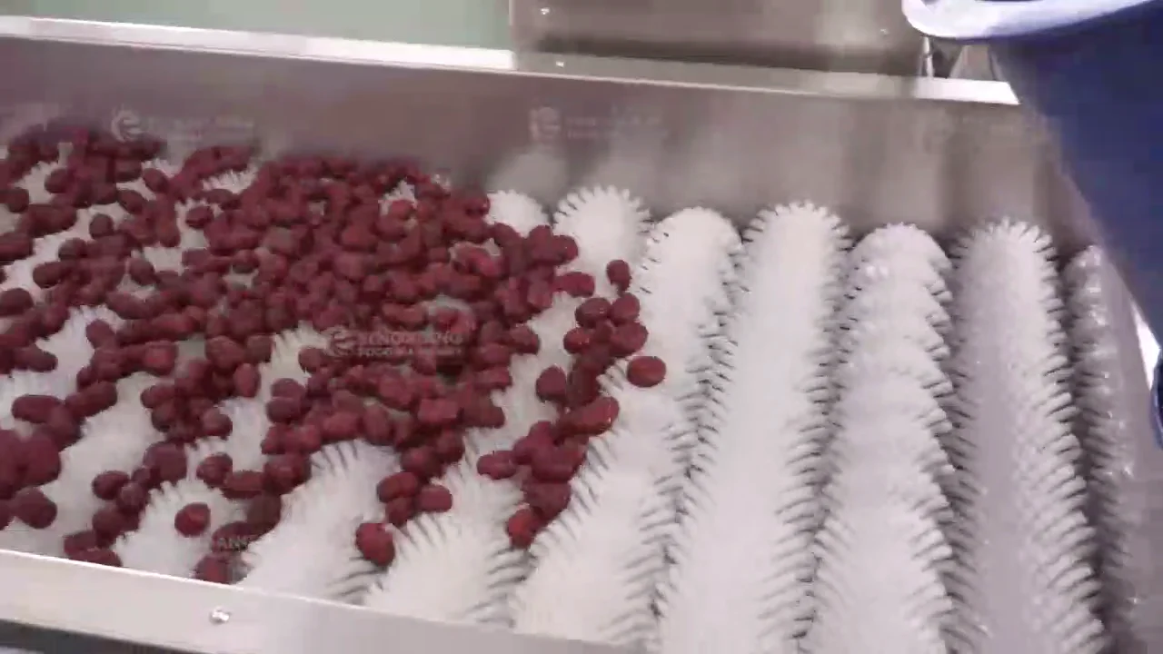 Soft Brush Dates Palm Dry Washing Machine Date Fruit Polishing Cleaning ...