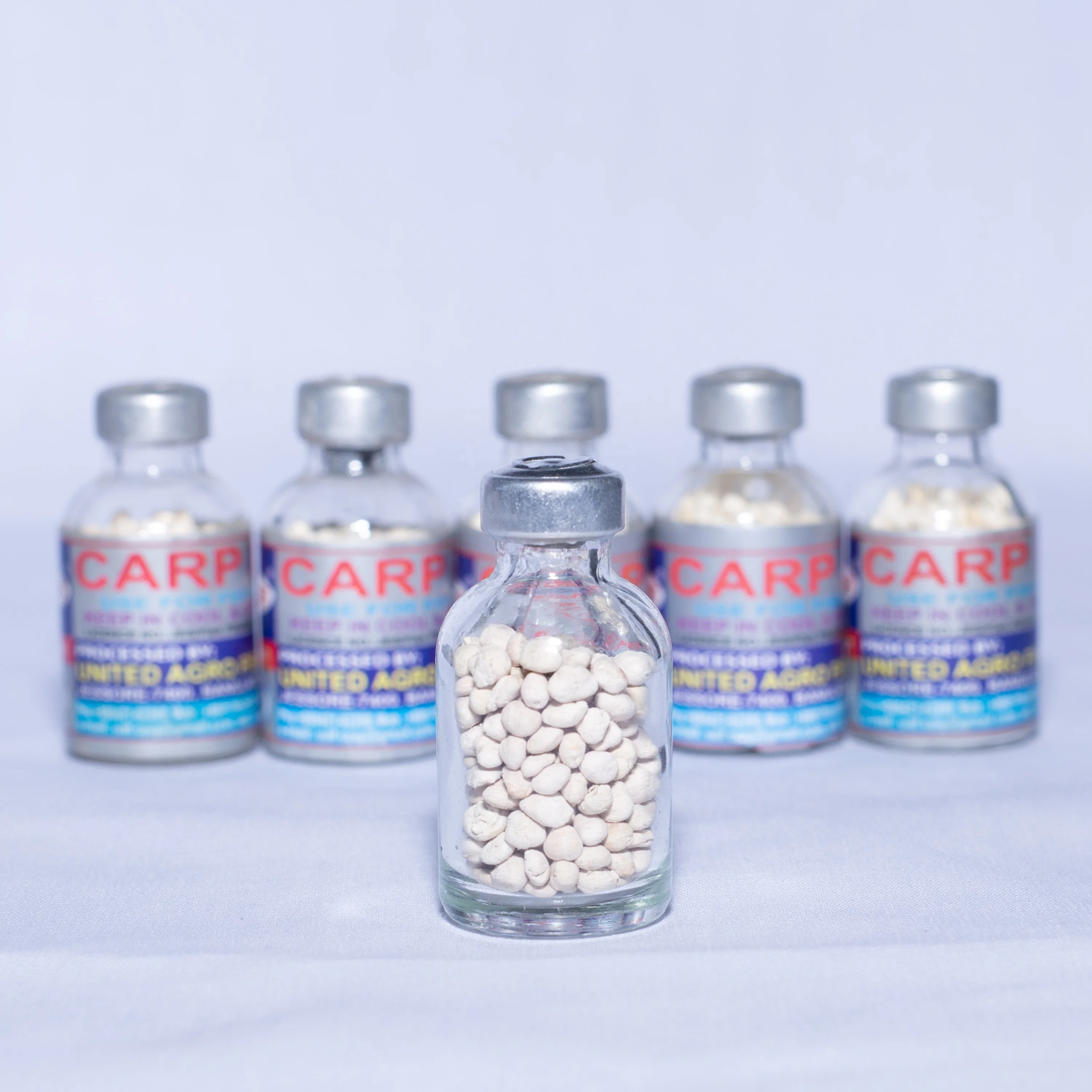 Pure Fish Pituitary Glands And Extract For Fish Hatching Naturally