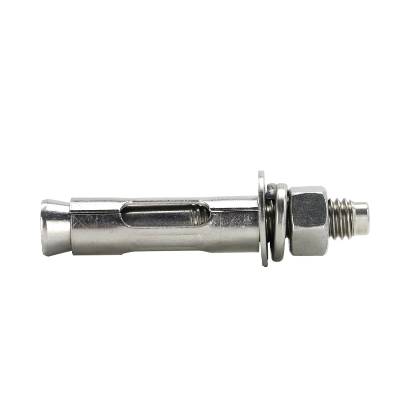 The Fasteners Factory Wholesale 304 316 Stainless Steel Wedge Anchor Through Bolt For Industry