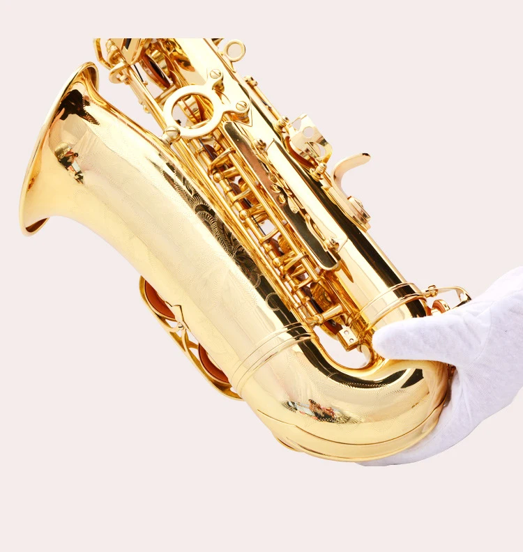 20191127_115355_148.jpg
