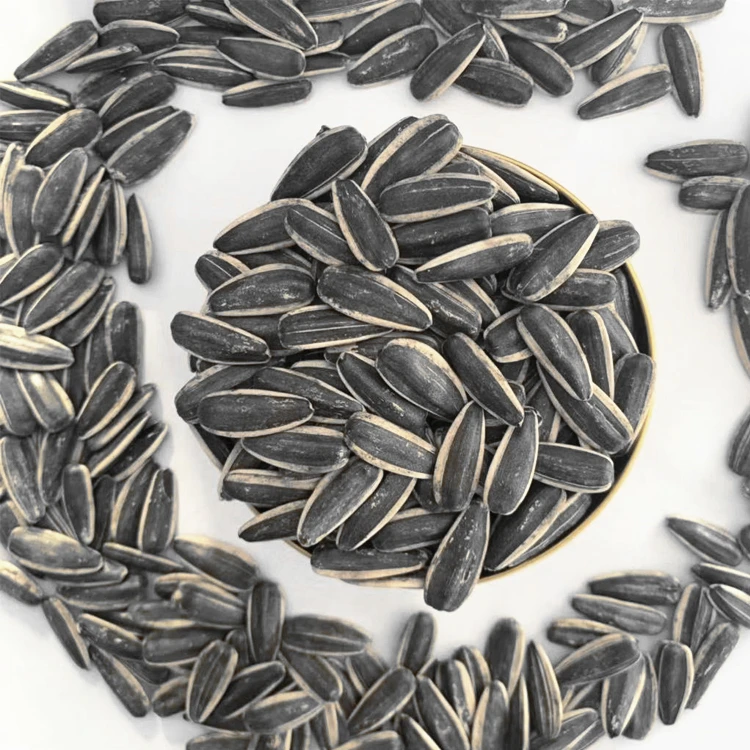 Sunflower Seed 363 Hybrid Sunflower Seed And Sunflower Seed Price India