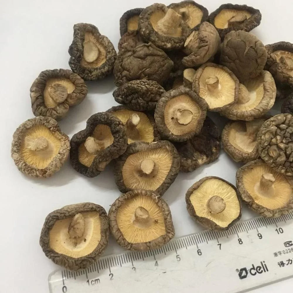 dried_shiitake_mushroom (4).jpg