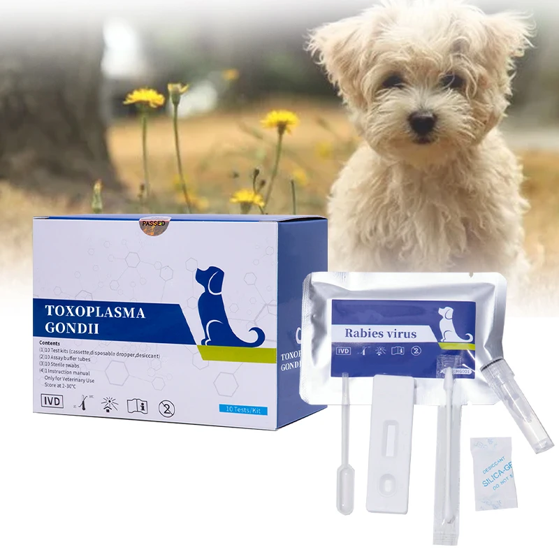 High Accuracy Rabies Antigen Test Kit Test For Rabies In Dogs Buy