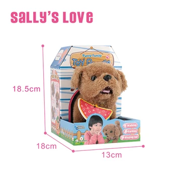 sallys toy